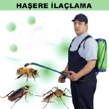Eldivan Böcek İlaçlama